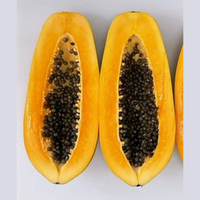 Hoge kiembaarheid 99% zuiverheid Gele Vlees Papaya F1 Hybride Variëteit voor grootschalige landbouw Verse marktvoorraad Exportkwaliteit