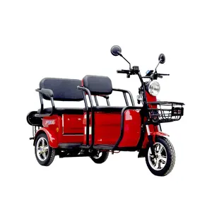 Recreational Electric Passenger Tricycle For The Elderly And Disabled