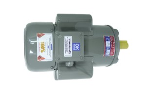 Motor de Inducción Monofásico Bhavi Industries 3HP BI-3-P, 2.25KW, 210-230V, 1500 RPM, Cuerpo de Acero Suave, TEFC, CSCR, Montaje en Pedestal, IE2 - Product Image 5