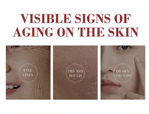 Crème anti-rides pour le visage, estompe les ridules et les rides, soulève, serre, hydrate la crème pour le visage - Product Image 5