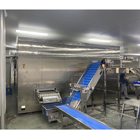 Kleine IQF Tunnelvriezer 100kg/uur Hoge-Nauwkeurigheid Snelvriesmachine voor Groente- en Fruitverwerking