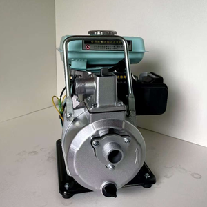 Pompe à eau ronde à essence 3HP WP10, entrée 25mm, débit 8m³/h pour l'irrigation domestique et de jardin, Philippines. - Product Image 6