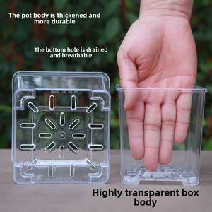 Pot spécial Phalaenopsis P141 pour usage domestique, <span class=keywords><strong>bassin</strong></span> carré transparent, pot <span class=keywords><strong>de</strong></span> plantation en plastique haute transparence - Product Image 2