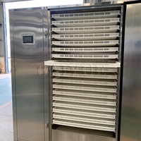 Salle de séchage à énergie infrarouge pour saucisses et nouilles de riz