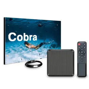 Cobra IPTV BOX M3u Settopกล่องสมาร์ททีวีFire Stick ResellerแผงฟรีTrail HDคุณภาพสูงSmartersผู้เล่นIptvm3ulist