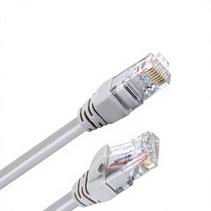 Câble réseau <span class=keywords><strong>Ethernet</strong></span> Gigabit <span class=keywords><strong>Catégorie</strong></span> <span class=keywords><strong>5</strong></span>, paire torsadée 8 conducteurs, connecteur RJ45, 1m, fini - Product Image 1
