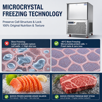 Congélateur-chiller rapide commercial en acier inoxydable -45°C, armoire de congélation rapide -40°C pour viande, fruits de mer, usine de transformation alimentaire