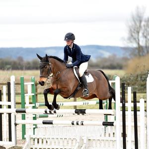 <strong>Aluminum</strong> <strong>Jump</strong> Tracks Keyhole Design Portable Rust Resistant Wholesale Deals Smooth Edges Rust Proof Horse <strong>Show</strong> <strong>Jumps</strong> - Product Image 2