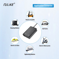 Chargeur rapide professionnel Nulike haute vitesse 1000W 48V pour batterie Lifepo4, prise AC/DC EU pour moto électrique/vélo électrique/trottinette