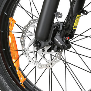 Nuevo Triciclo Eléctrico de Carga Multifuncional de Largo Alcance 48V/13AH 2026, Bicicleta Eléctrica Urbana - Product Image 6