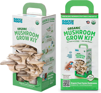 Boîte de culture de champignons vide avec impression de logo personnalisée, kit de culture de champignons, boîtes d'emballage en carton ondulé pour la culture de champignons