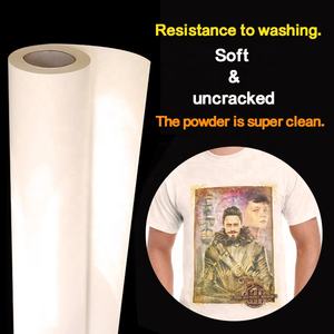 Prezzo di fabbrica 0.075 millimetri 160 centimetri di Larghezza Trasparenza PET <span class=keywords><strong>T</strong></span>-<span class=keywords><strong>Shirt</strong></span> PET Pellicola di Trasferimento di Calore Del Vinile per Stampante Digitale - Product Image 3