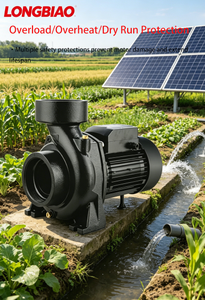 Pompe centrifuge solaire SCPM 72V à courant continu sans balais à haut débit pour l'irrigation agricole et le transfert d'eau, à économie d'énergie - Product Image 3