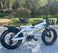 Vélo électrique pliable 20 pouces avec logo personnalisé, moteur Bafang Mid Drive 1000W, batterie 48V intégrée au porte-bagages arrière, moteur sans balais
