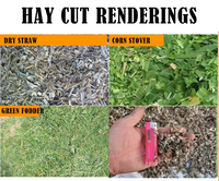 Hacheuse d'aliments pour animaux Weiyan WY-9ZT-0.4P, hacheuse de maïs, de foin et de paille, broyeur de maïs pour couper la paille, pour une utilisation à la ferme et à la maison