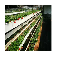 Gouttière UPVC de fraise de catégorie comestible de prix usine pour des serres agricoles de système de culture hydroponique dans l'usine agricole croissante