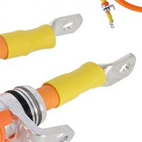 Cables de Alimentación Blindados de 95 mm para Motores de Accionamiento Principal U-Phase en Vehículos de Nueva Energía, Clasificación IP67, 25V