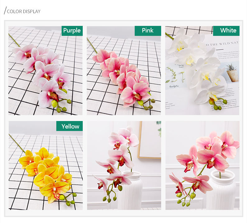 เป็นรูปภาพ