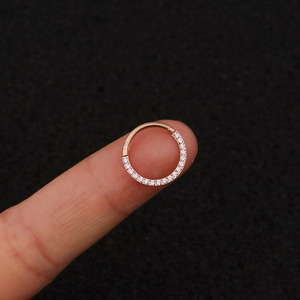 Gioielli per Piercing al Setto Nasale in Acciaio Inossidabile, Anello per Setto con Zirconi, Cerchio Senza Saldature, Segmento Incernierato per Piercing Daith, Helix, Rook - Product Image 6