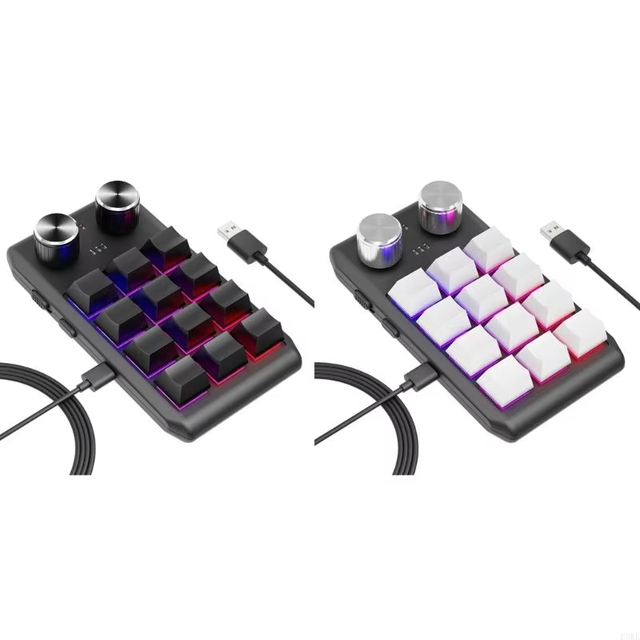 Multifunctional Macro Mechanical Keyboard with 12 Customizable Keys 2 Knobs - One-Handed RGB Gaming Keypad Programmable