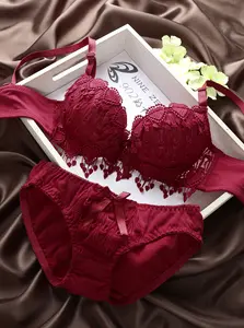 Conjunto de lingerie de renda feminina de alta qualidade sutiã bordado respirável calcinha flexível confortável de duas peças tamanho livre para o inverno