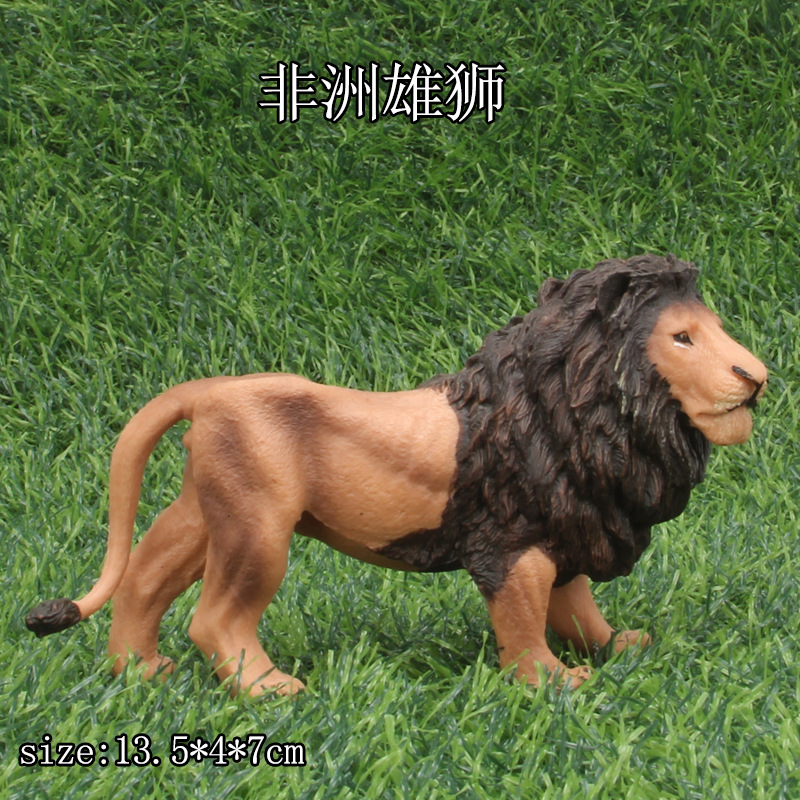 león africano
