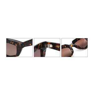 Gafas de Sol de Lujo para Mujer, Estilo Retro Ojo de Gato, Personalizadas, Gafas de Sol Polarizadas de Acetato para Hombre 2026 - Product Image 4