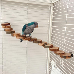 Plataforma Moderna Ecológica de Madera Maciza para Aves, Juguete de Escalera para Hámster, Escalera de Manzana para Loros, Marco de Escalada para Aves con Mordedor Molar - Product Image 3