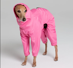 <span class=keywords><strong>Chubasquero</strong></span> para perros personalizado fabricante nuevo diseño elegante cómodo impermeable cálido ligero sudaderas con capucha impermeable <span class=keywords><strong>Galgo</strong></span> para mascotas - Product Image 5