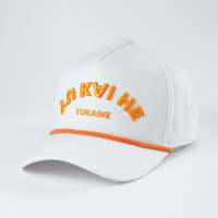 Casquettes de baseball brodées de haute qualité, logo personnalisé, coton, broderie 3D, lettres, respirantes