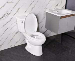Venta al por mayor de fábrica, sifón europeo económico con trampa en S, artículos sanitarios, baño montado en el suelo, inodoro de cerámica de dos piezas - Product Image 3