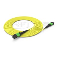 Kabel Patch Fiber Optik 24 Core MPO MPO Single Mode G657A1 OS2 dengan Jaket LSZH, Panjang 1m, Tipe B Polarity untuk Pusat Data