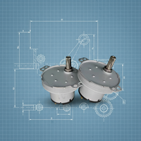 Moteur à engrenages CC JS-50 12V 60 tr/min avec axe en D, boîte de réduction externe en métal, mini-moteur synchrone pour ventilateur d'appareil ménager, à balais