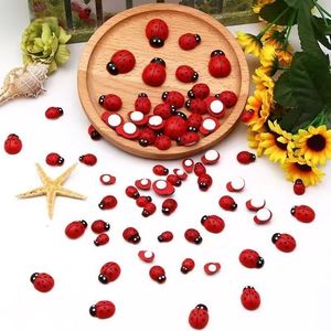 <span class=keywords><strong>Mini</strong></span>-coccinelles en bois avec autocollants en éponge pour la décoration de micro-paysages, <span class=keywords><strong>mini</strong></span>-<span class=keywords><strong>aimants</strong></span> de réfrigérateur, décorations pour <span class=keywords><strong>scrapbooking</strong></span> - Product Image 6