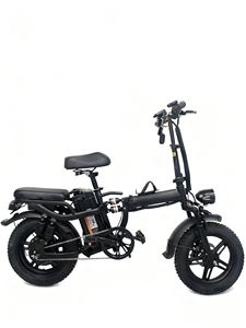 Nouveau <span class=keywords><strong>vélo</strong></span> <span class=keywords><strong>électrique</strong></span> pliable tout-terrain haute vitesse 800W avec pneu de <span class=keywords><strong>16</strong></span> <span class=keywords><strong>pouces</strong></span> super antidérapant pour la neige, double entraînement, véhicule de montagne - Product Image 1
