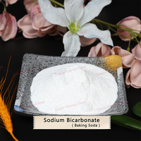 Bicarbonato de Sodio (Bicarbonato de Sodio) 99% Mín. CAS:144-55-8, Grado Alimenticio para Cocina, Limpieza y Salud
