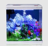 Mini aquarium de table magique en forme de carré, design en verre écologique pour poissons