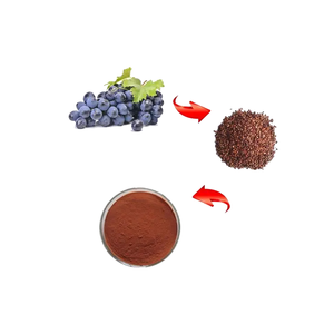 天然植物ブドウ種子エキスカプセル食品グレードブドウ種子エキス粉末 - Product Image 1
