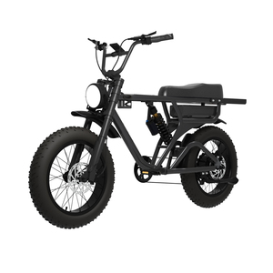 Bicicleta Eléctrica de 20 Pulgadas, Precio de Fábrica, Ligera, Todoterreno, Bicicleta Eléctrica Gruesa de 48V 750W para Adultos - Product Image 2