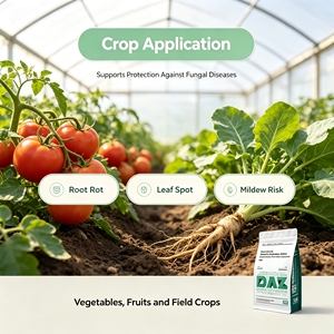 Removedor de moho de grado alimenticio, controla la podridad de raíces, moho en polvo y moho alimentario, aditivos alimentarios, enzimas descomponedoras de micotoxinas - Product Image 3