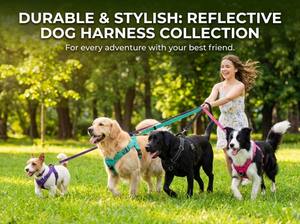 حزام يوجو YG-555 للحيوانات الأليفة - دعم قابل للتعديل للصدر والظهر، متين وقابل للتنفس ومريح للكلاب - Product Image 6