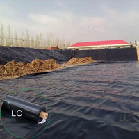 Film de construction en polyéthylène LDPE 6 mil, rouleau de bâche plastique 10x100 pieds, film de construction anti-humidité