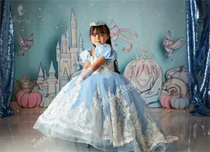 <span class=keywords><strong>Ropa</strong></span> de niña azul claro vestidos de flores <span class=keywords><strong>para</strong></span> boda apliques de encaje blanco con lazo <span class=keywords><strong>Primera</strong></span> Comunión graduación dama de honor - Product Image 2