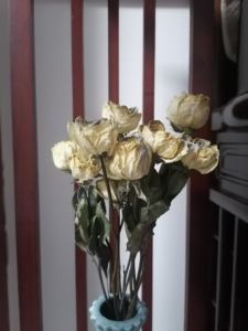 Pemasok Silika Gel untuk Sepatu Kulit - Product Image 2