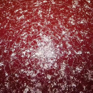 Окрашенный оцинкованный стальной лист и рулоны - Product Image 2