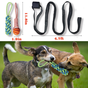 HIPHOPPET Factory BSCI Bungee Hanging Dog Toy with Interactive <b>Rope</b> Tug-of-War Chew Jumping Training for Indoor Outdoor Play - Product Image 6