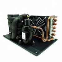 R134a DC 12v 24v 48v 400 watts mini module refroidisseur d'eau unité de refroidissement pour système de brassage domestique refroidisseur de glycol