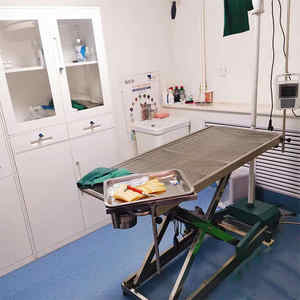 Instrument vétérinaire de table d'opération d'animaux d'acier inoxydable de SAFECAREYOU pour l'opération de chien d'hôpital d'animal familier - Product Image 4