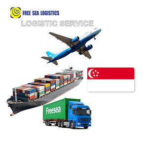 Envoi aérien économique vers l'Asie du Sud-Est DDP Porte à Porte Agent transitaire Chine Shenzhen - Product Image 2