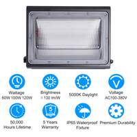 Ventes directes d'usine Lumières extérieures IP65 Étanche 60w 100w 120w Led Coin Wall Pack Light